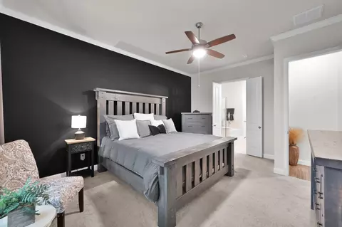 Bedroom - 17413 Turtleweed Ln, Conroe, TX 77385 photo 1 of 5
