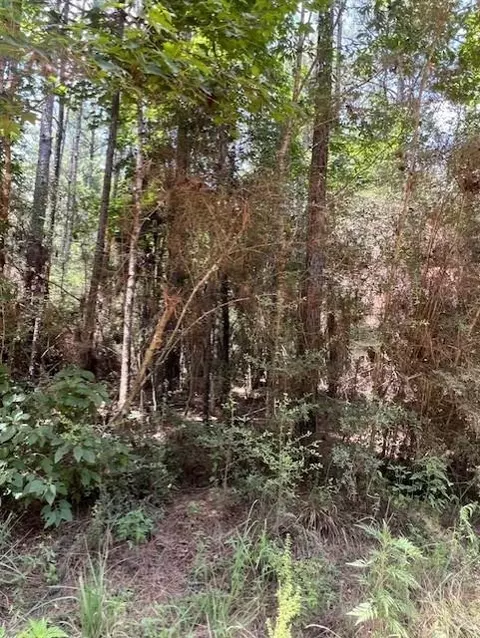 000 Camp Seale Rd, Livingston, TX 77351