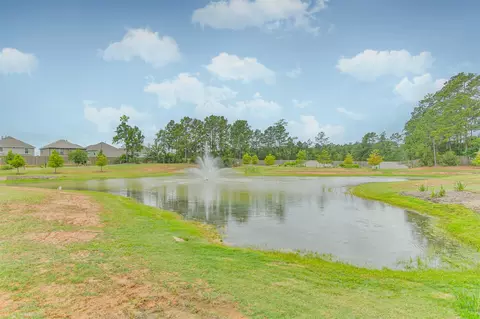 View/Area - 2424 Shellcracker Dr, Conroe, TX 77384 photo 5 of 6