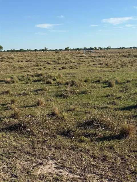 17136 Brumbelow Rd, Needville, TX 77461