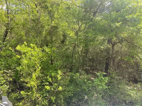 00 Hollybrook Dr, Plantersville, TX 77363