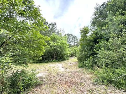 Other - 704 Elder St, Colmesneil, TX 75938 photo 8 of 18