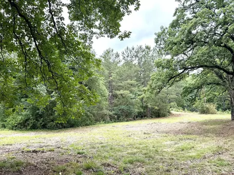 Other - 704 Elder St, Colmesneil, TX 75938 photo 11 of 18