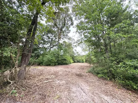 Other - 704 Elder St, Colmesneil, TX 75938 photo 7 of 18