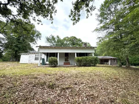 Exterior - 704 Elder St, Colmesneil, TX 75938 photo 4 of 20