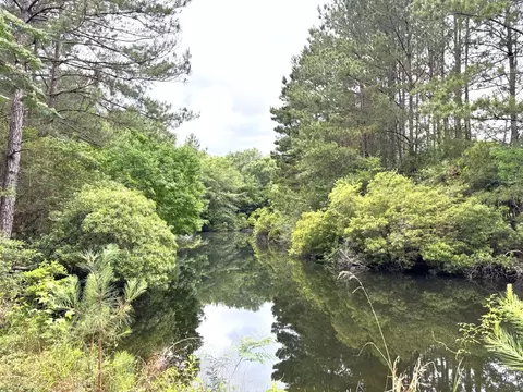 View/Area - 704 Elder St, Colmesneil, TX 75938 photo 1 of 1