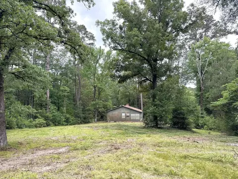 Exterior - 704 Elder St, Colmesneil, TX 75938 photo 19 of 20