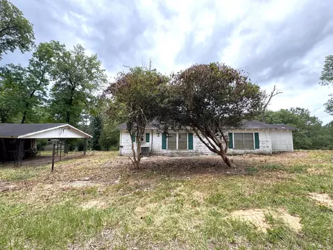 Other - 704 Elder St, Colmesneil, TX 75938 photo 10 of 18