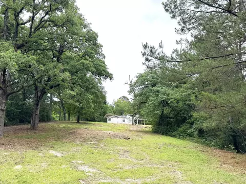 Exterior - 704 Elder St, Colmesneil, TX 75938 photo 15 of 20