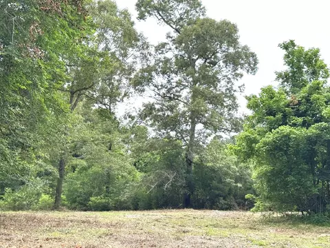 Other - 704 Elder St, Colmesneil, TX 75938 photo 12 of 18