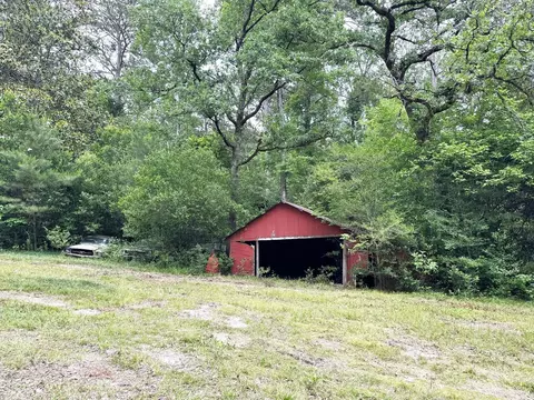 Exterior - 704 Elder St, Colmesneil, TX 75938 photo 17 of 20