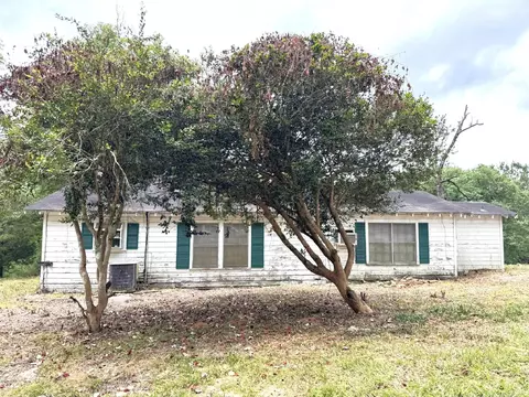 Exterior - 704 Elder St, Colmesneil, TX 75938 photo 7 of 20