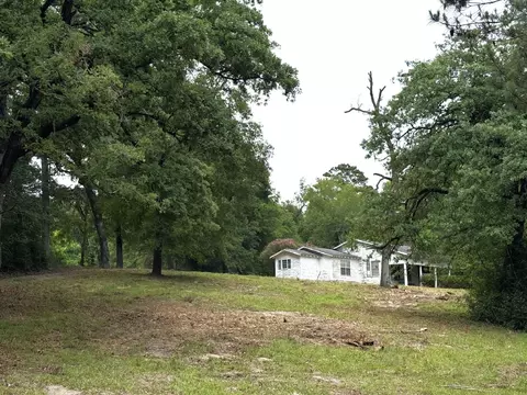 Exterior - 704 Elder St, Colmesneil, TX 75938 photo 2 of 20