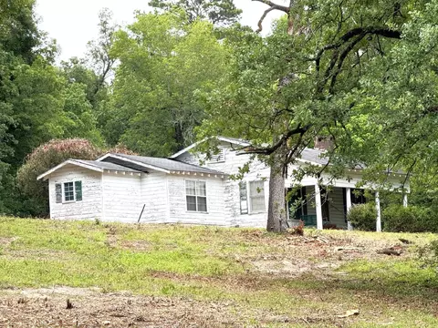 Exterior - 704 Elder St, Colmesneil, TX 75938 photo 9 of 20