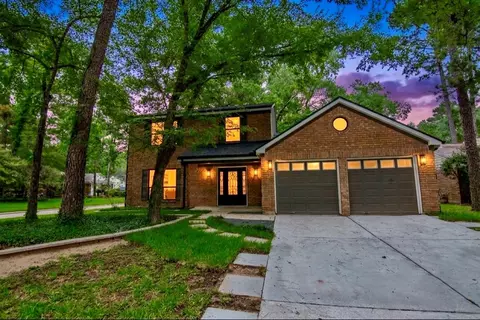 3 Raindream Pl, The Woodlands, TX 77381