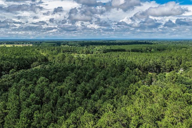 1782 Acres County Line Rd, Shepherd, TX 77371