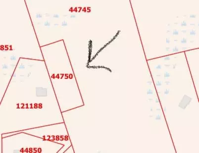Fm 223 Fm, Shepherd, TX 77371