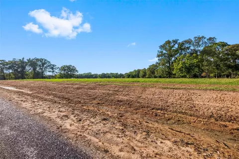 6033 Alans Memorial Ln, New Waverly, TX 77358