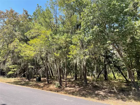 29 Walnut Point Dr, Coldspring, TX 77331 photo 1