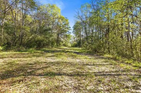 00 000 Redbud Dr, Conroe, TX 77302 photo 9