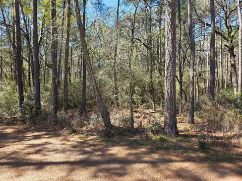 lot20 Hackberry Dr, Plantersville, TX 77363
