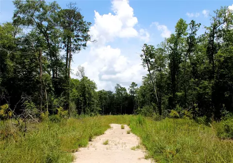 12425 Picos Rd, Saratoga, TX 77585