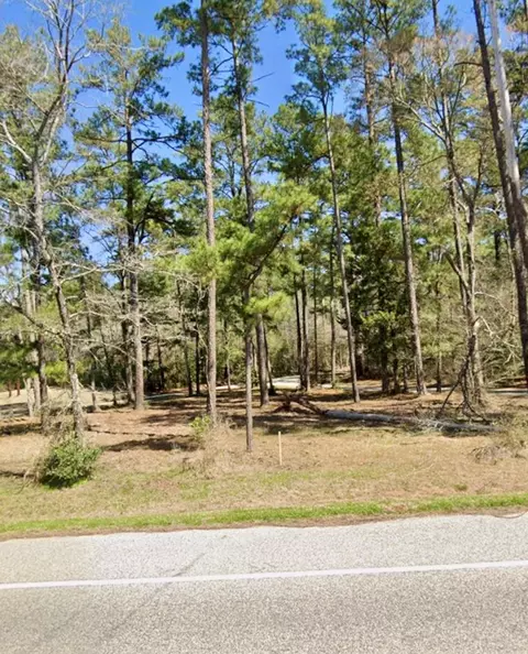tbd Grissom Rd, Richards, TX 77873 photo 1