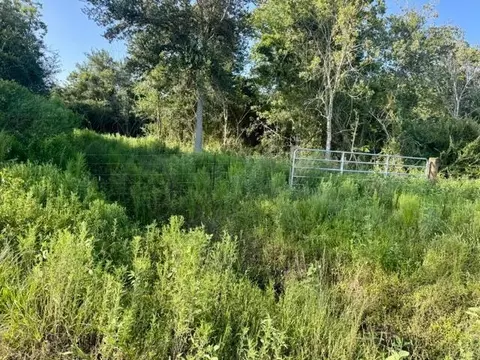 0 Fm 1462 E, Angleton, TX 77583 photo 7
