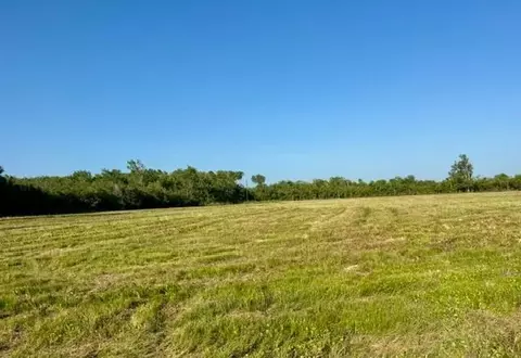 0 Fm 1462 E, Angleton, TX 77583 photo 6