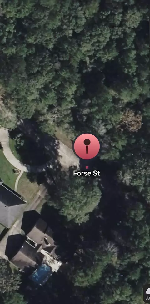 tbd Forse St, Woodville, TX 75979