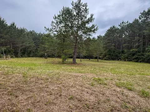 1131 Big Woods Rd, New Waverly, TX 77358