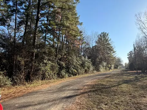 217 Woodland Dr, Livingston, TX 77351