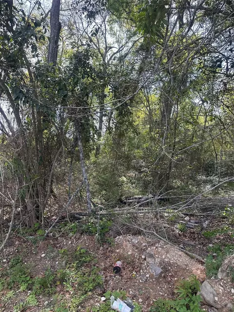 0 S 7th St, Conroe, TX 77301 photo 7