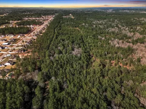 0 A0186 - Dease Conley Tract 15 Acres 20, Conroe, TX 77303