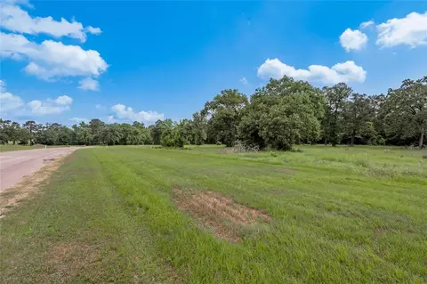 lot11 Tara Dr, Trinity, TX 75862