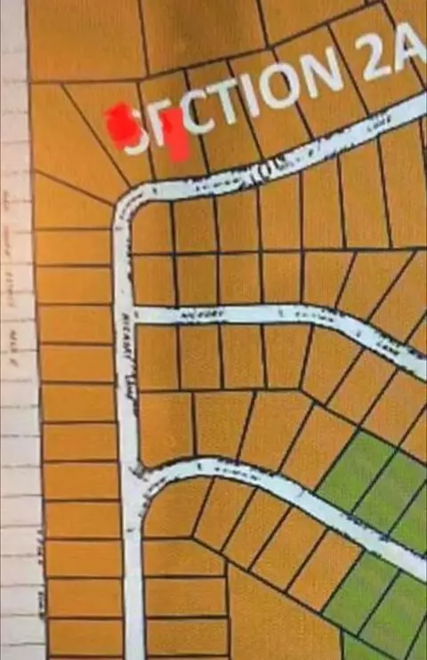 38 Landing Way, Trinity, TX 75862 photo 6