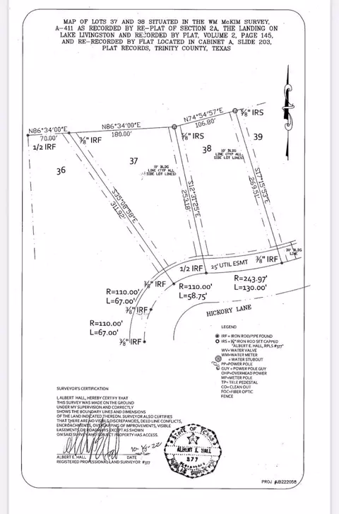 38 Landing Way, Trinity, TX 75862 photo 5