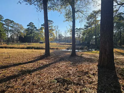 1325 Fm 223 Rd, Shepherd, TX 77371
