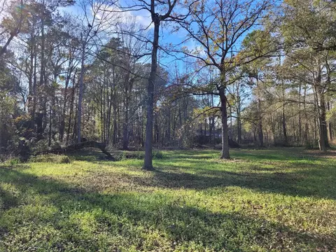 15540 Firetower Rd, Conroe, TX 77306 photo 18