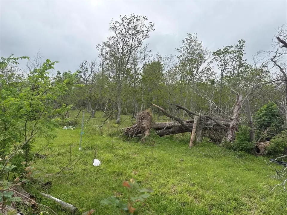  0 Nail St, Fresno, TX 77545 photo 5