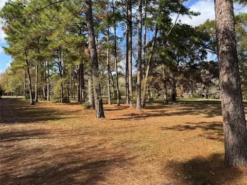 Exterior - 307 Deerwood Dr, Trinity, TX 75862 photo 2 of 3