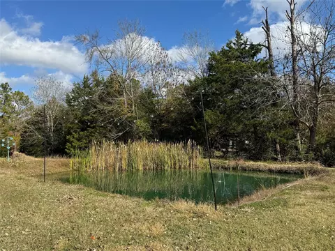 View/Area - 307 Deerwood Dr, Trinity, TX 75862 photo 2 of 2