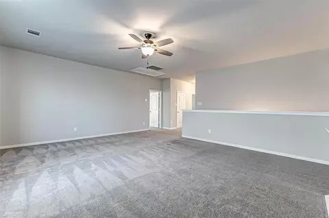 Other - 29515 Crimson Beech Dr, Spring, TX 77386 photo 6 of 8