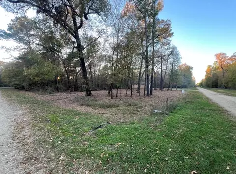 0 Mossy Dr, Livingston, TX 77351