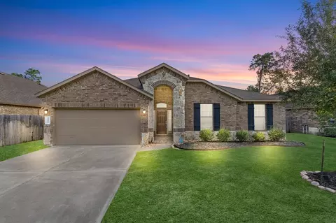 14027 S Wind Cave Ct, Conroe, TX 77384 photo 1