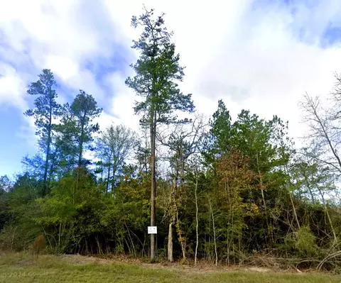 10699 Ruger Rd, Willis, TX 77378 photo 4