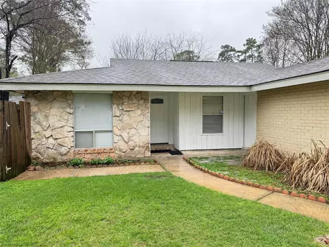 Exterior - 23115 Ludgate Dr, Spring, TX 77373 photo 3 of 4