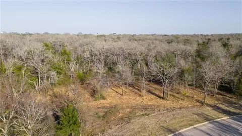 3325 Stephans Xing, Bryan, TX 77807 photo 3