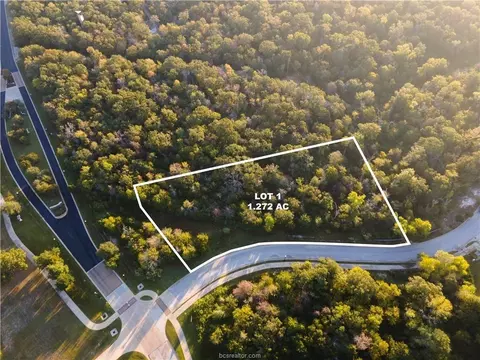 3325 Stephans Xing, Bryan, TX 77807 photo 5