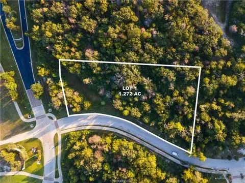 3325 Stephans Xing, Bryan, TX 77807 photo 4